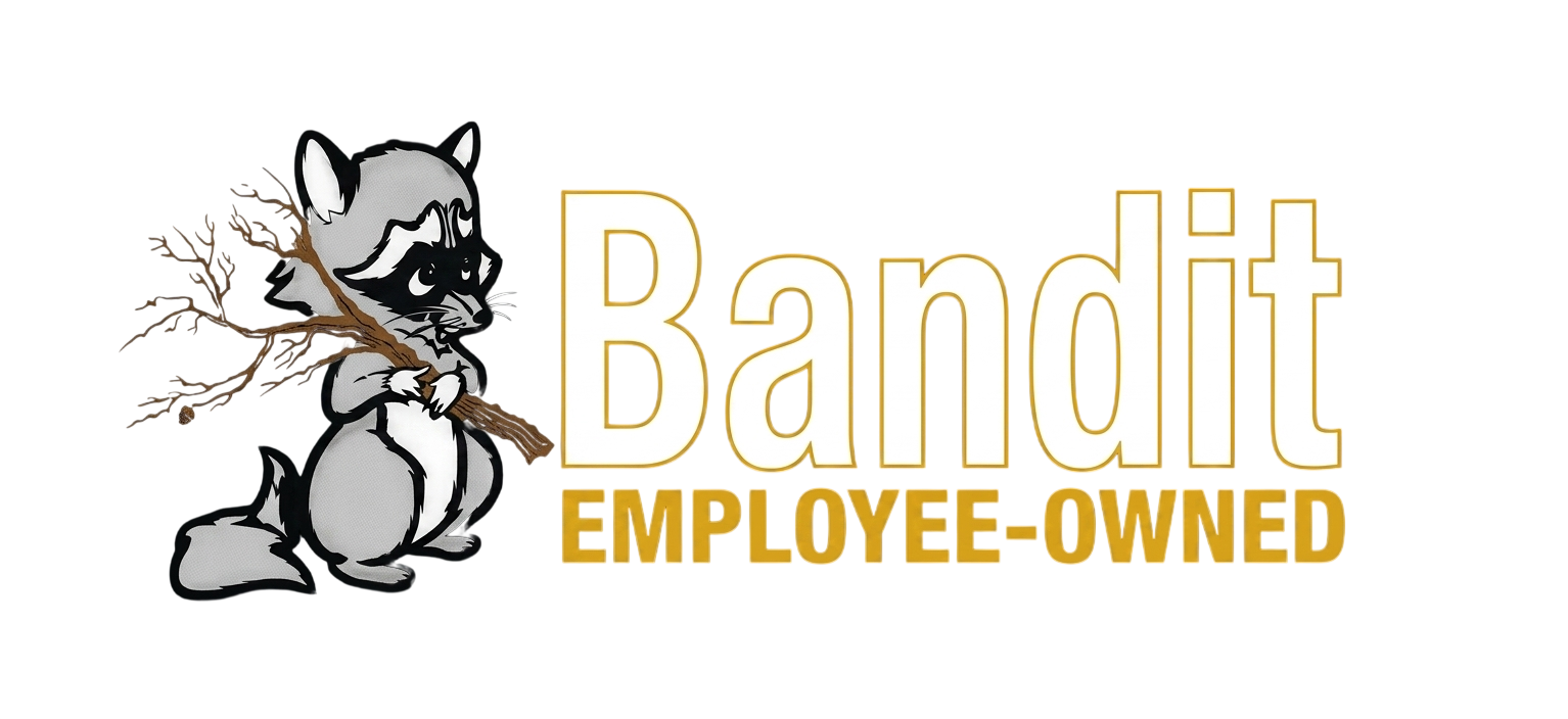 Bandit logo